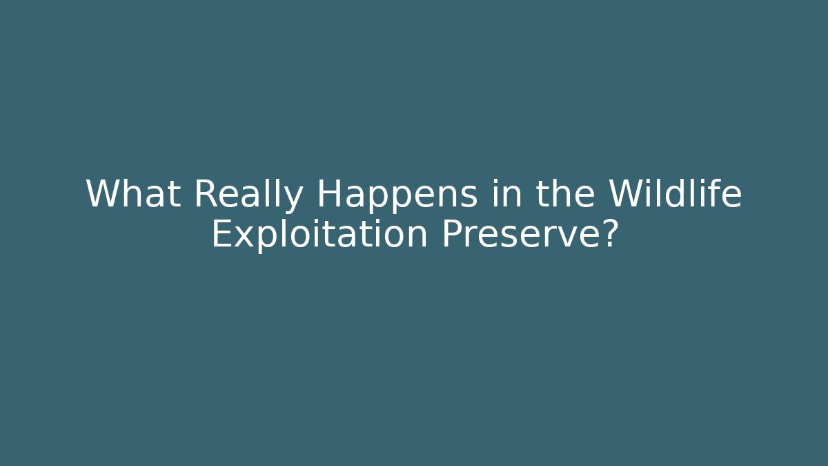 What Really Happens in the Wildlife Exploitation Preserve?