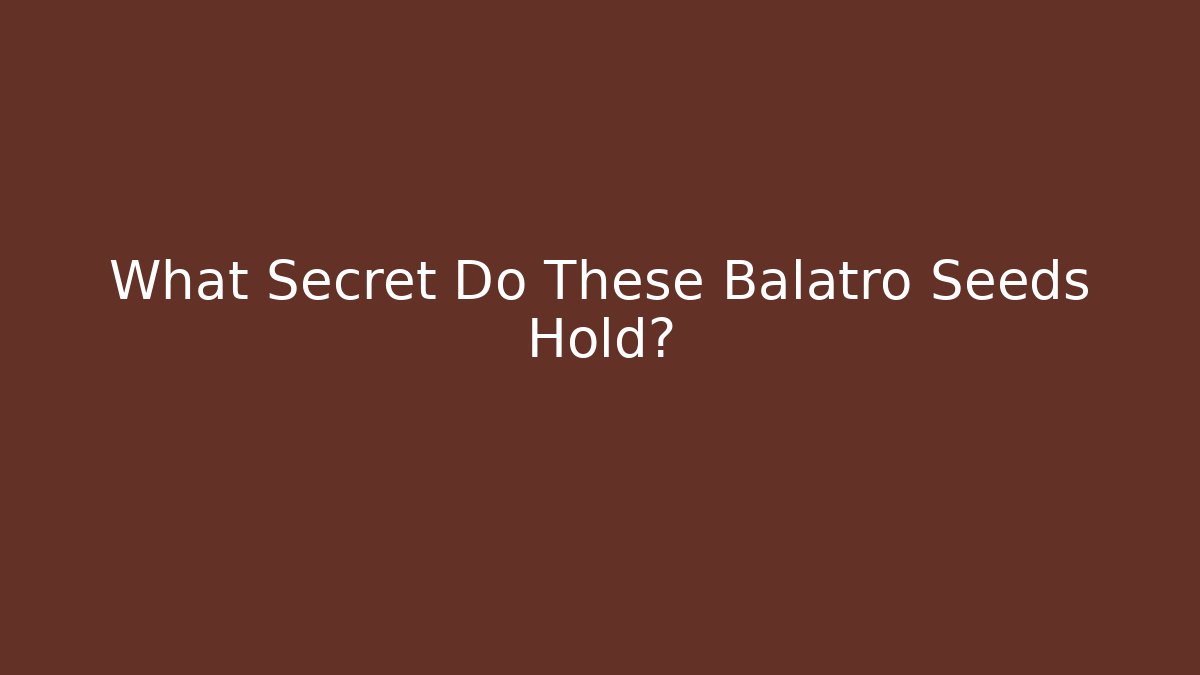 What Secret Do These Balatro Seeds Hold?