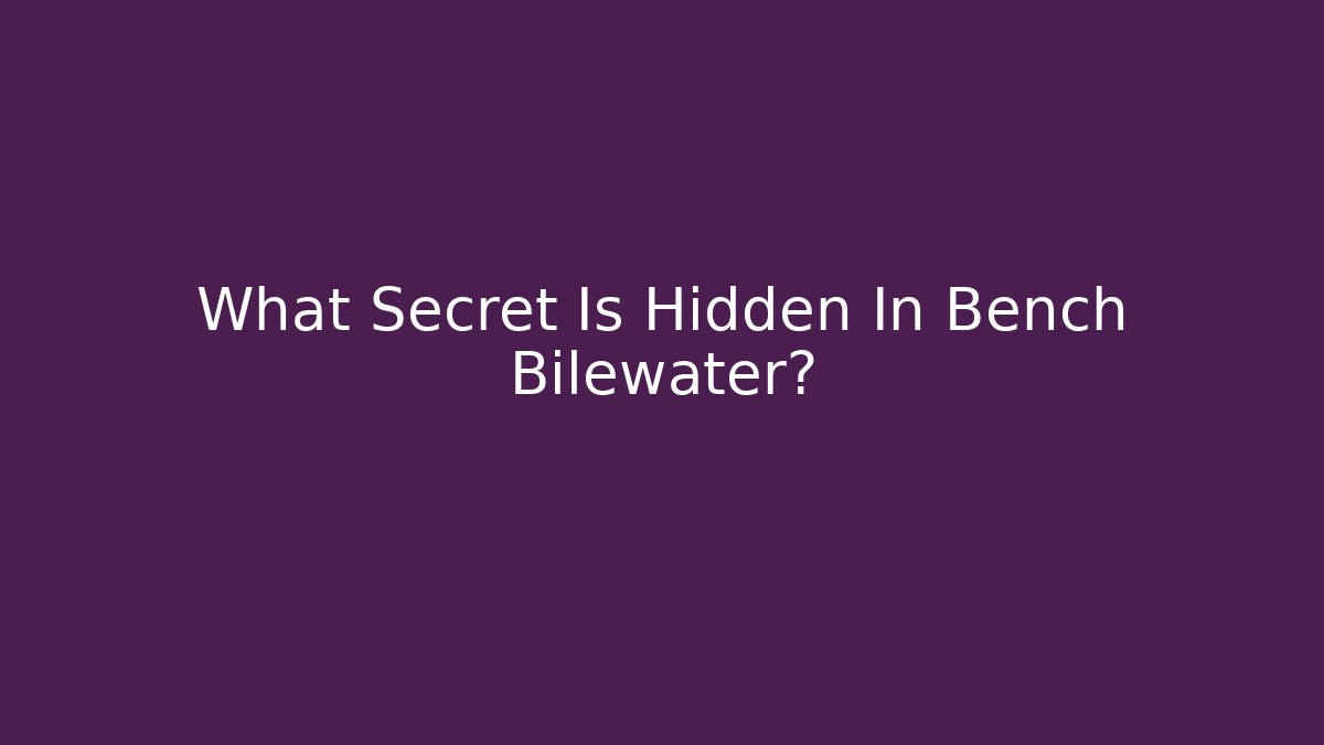 What Secret Is Hidden In Bench Bilewater?