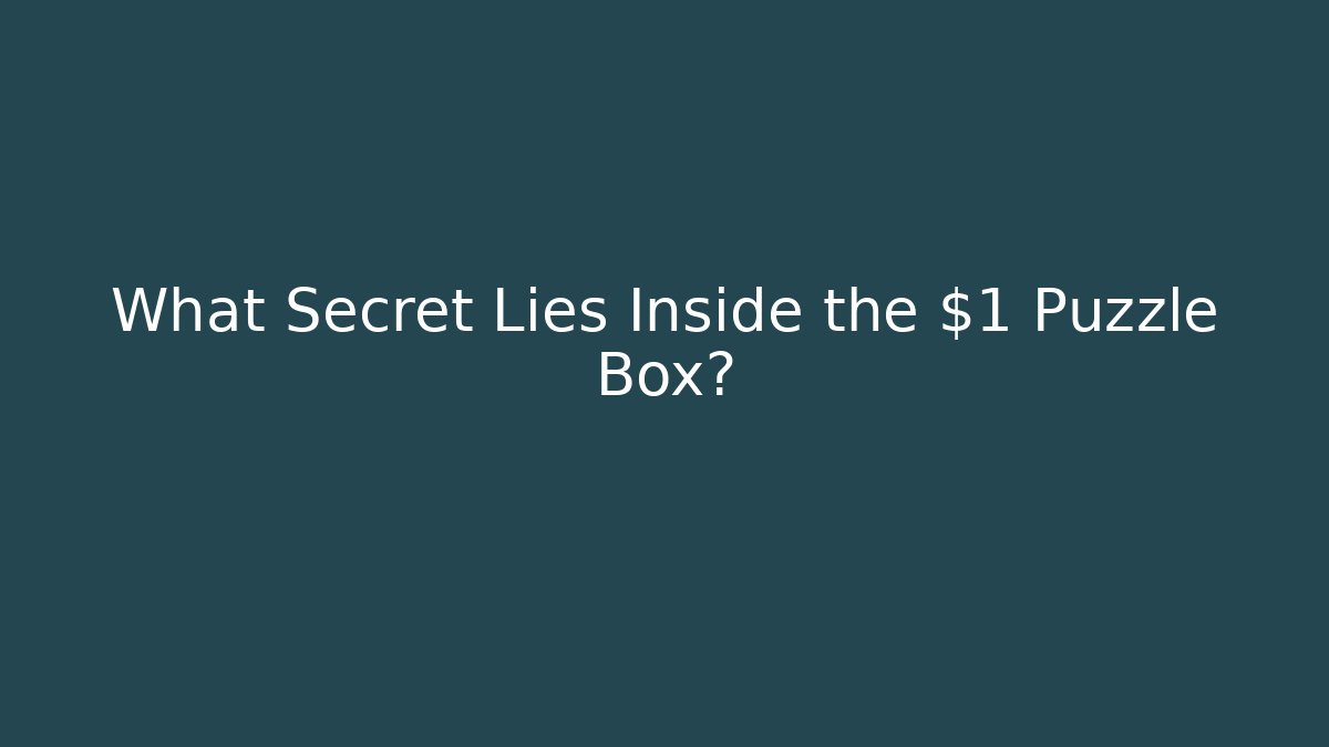 What Secret Lies Inside the $1 Puzzle Box?
