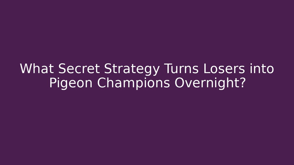 What Secret Strategy Turns Losers into Pigeon Champions Overnight?