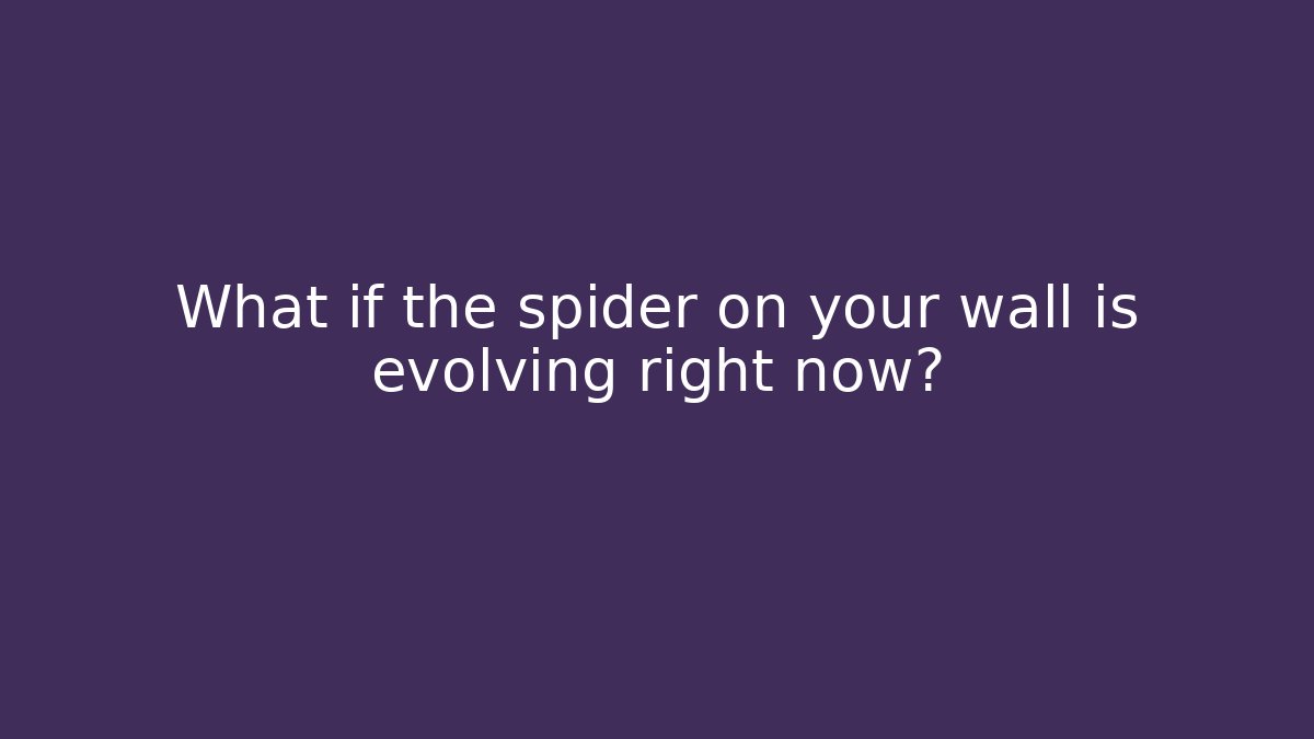 What if the spider on your wall is evolving right now?