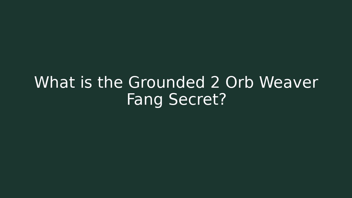 What is the Grounded 2 Orb Weaver Fang Secret?