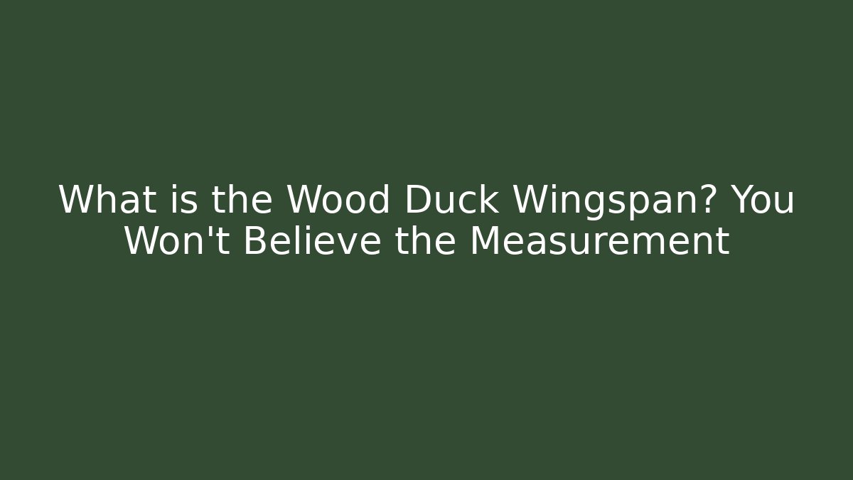 What is the Wood Duck Wingspan? You Won’t Believe the Measurement
