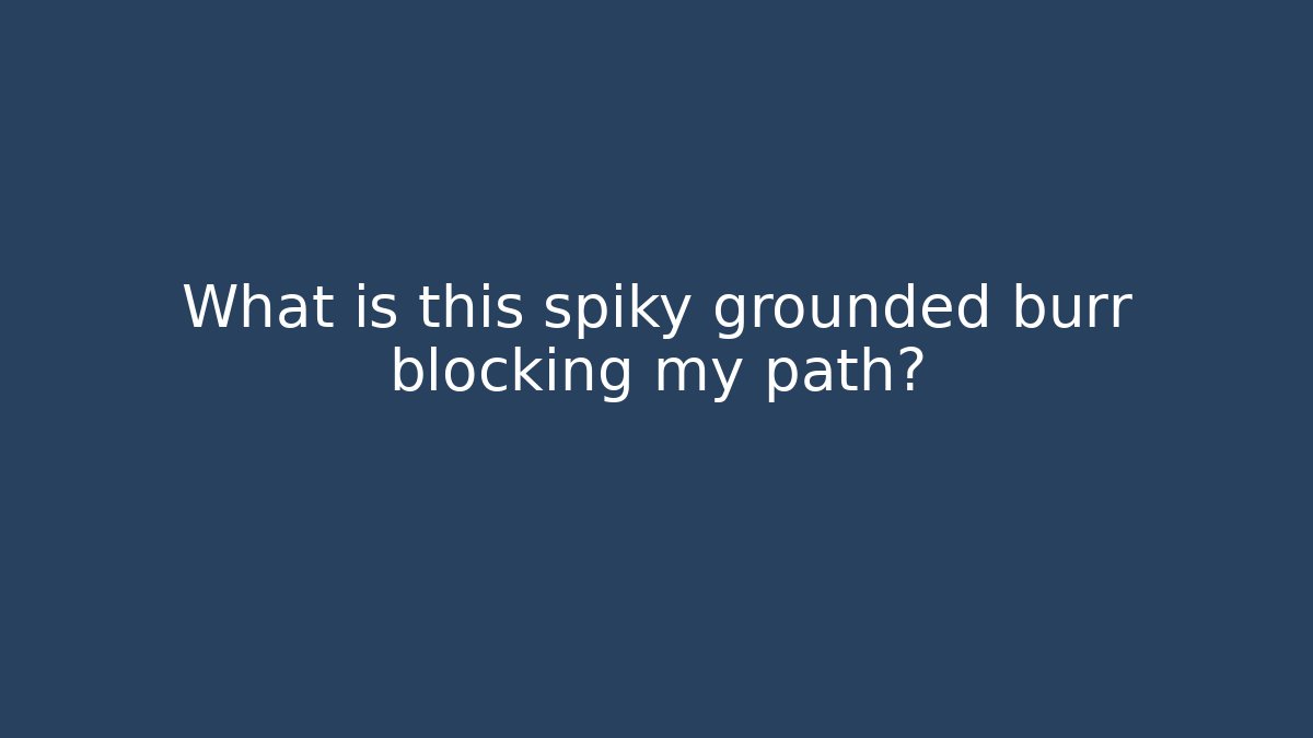 What is this spiky grounded burr blocking my path?
