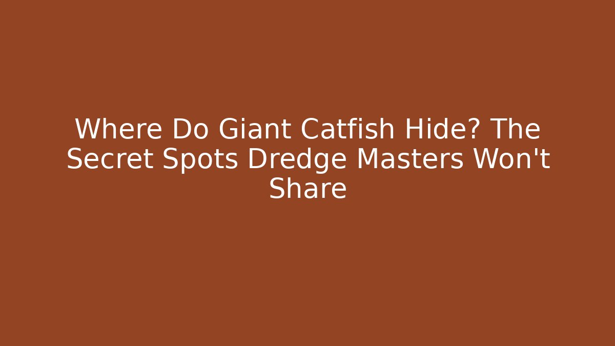 Where Do Giant Catfish Hide? The Secret Spots Dredge Masters Won't Share