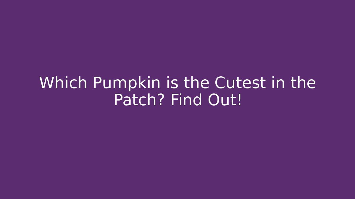 Which Pumpkin is the Cutest in the Patch? Find Out!
