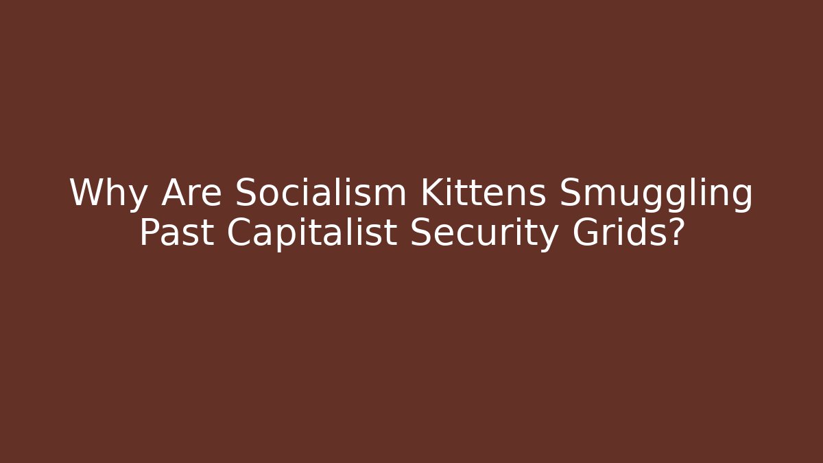 Why Are Socialism Kittens Smuggling Past Capitalist Security Grids?