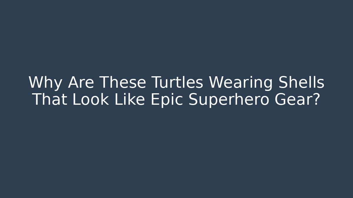 Why Are These Turtles Wearing Shells That Look Like Epic Superhero Gear?