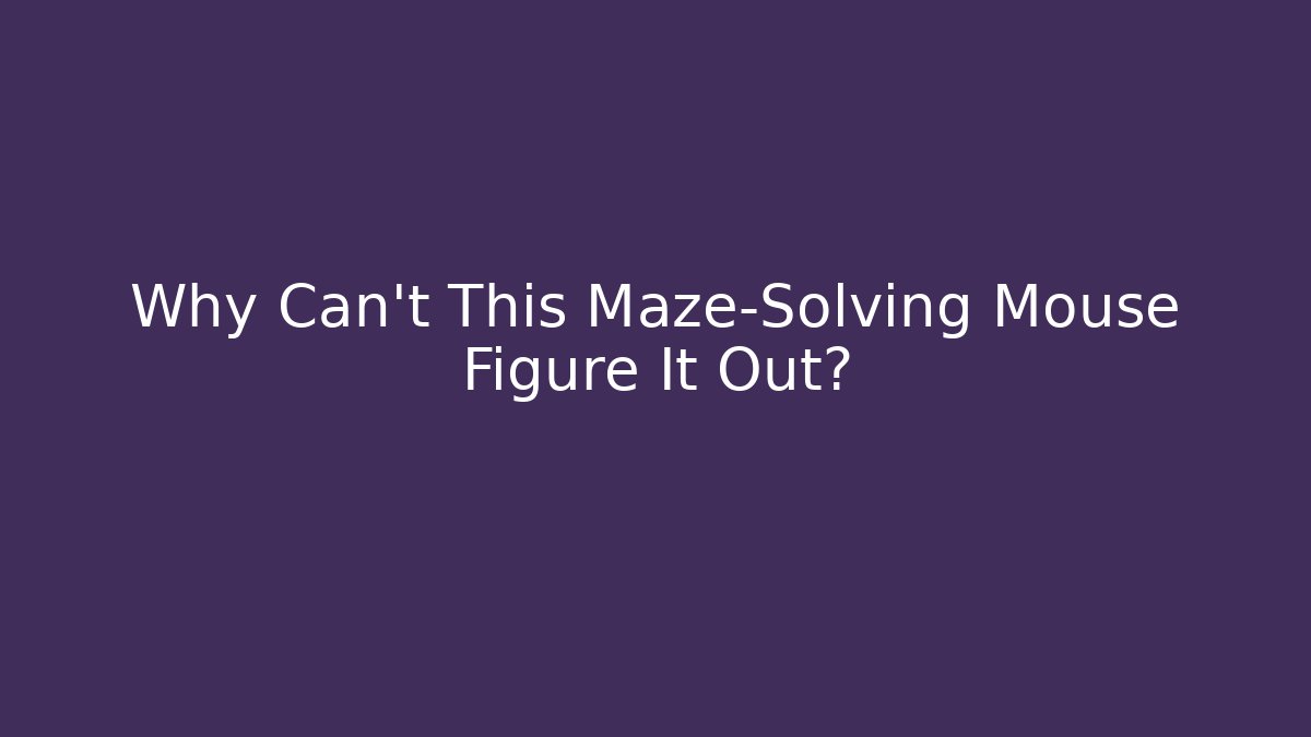 Why Can't This Maze-Solving Mouse Figure It Out?