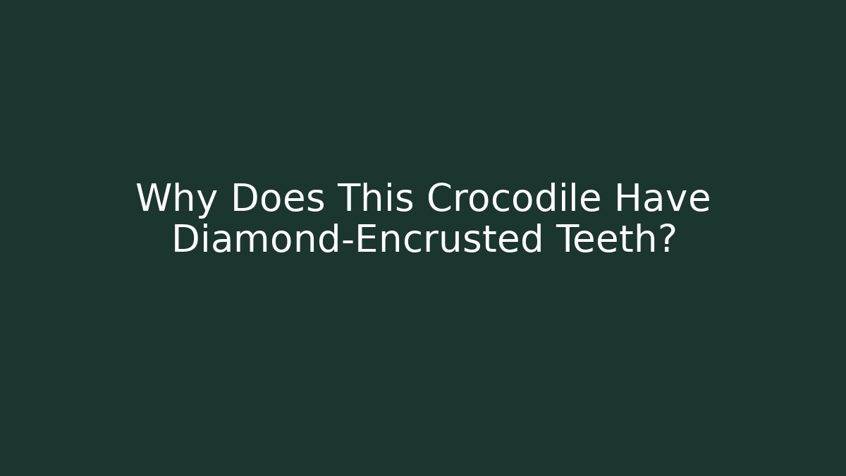Why Does This Crocodile Have Diamond-Encrusted Teeth?