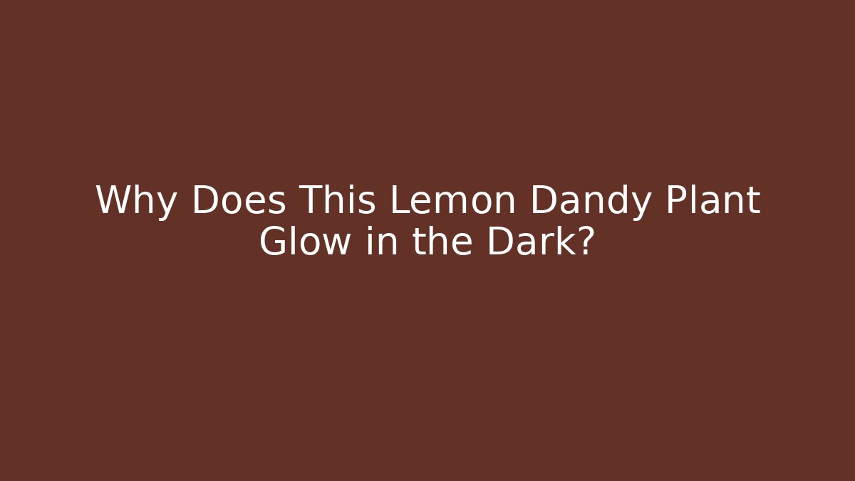 Why Does This Lemon Dandy Plant Glow in the Dark?