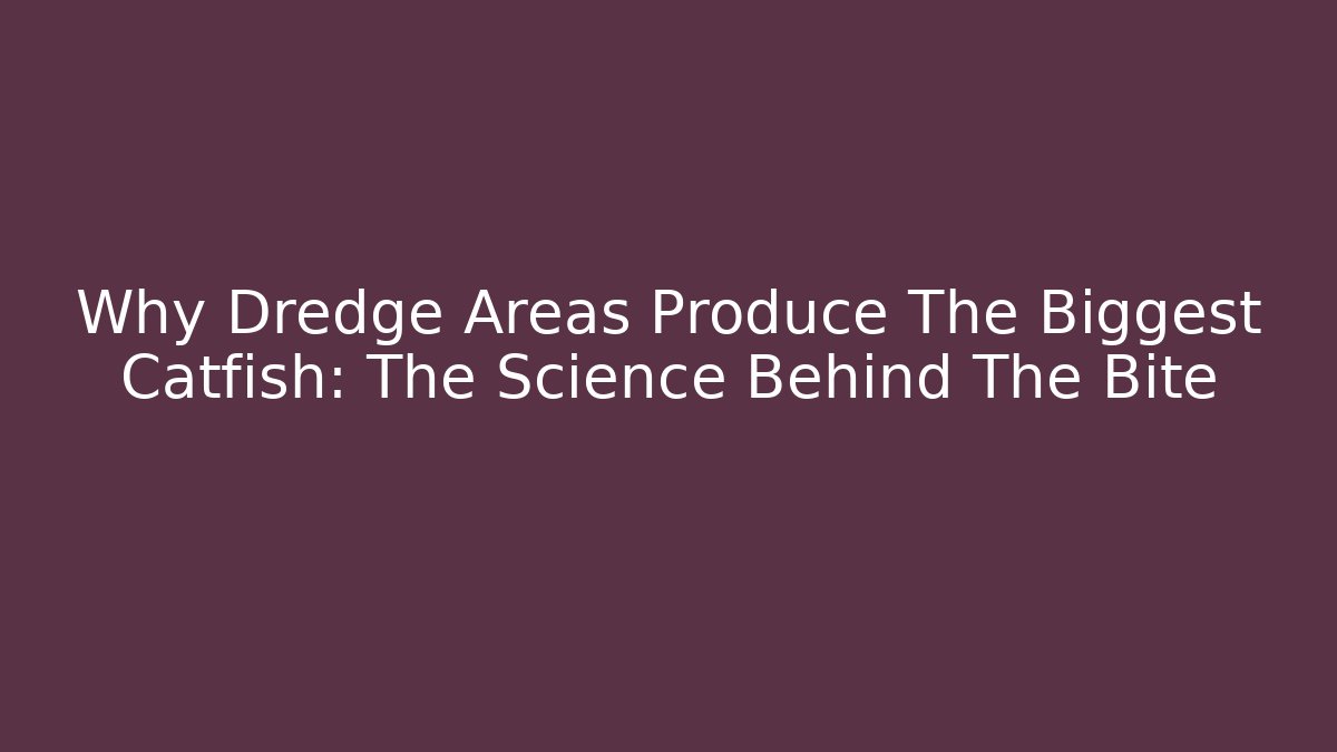 Why Dredge Areas Produce The Biggest Catfish: The Science Behind The Bite