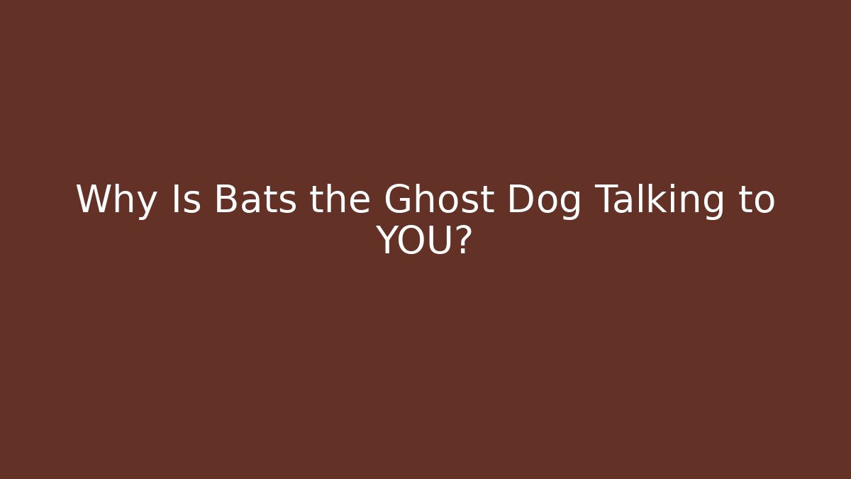 Why Is Bats the Ghost Dog Talking to YOU?