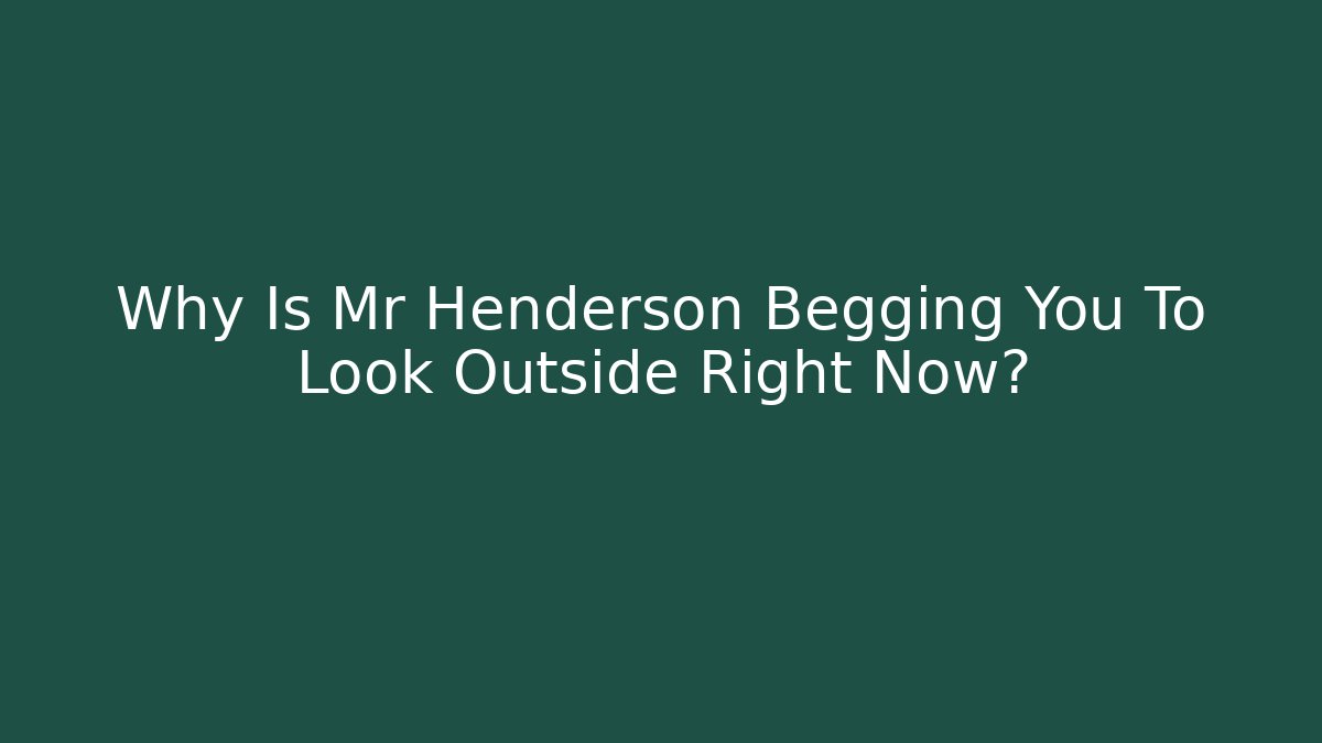 Why Is Mr Henderson Begging You To Look Outside Right Now?