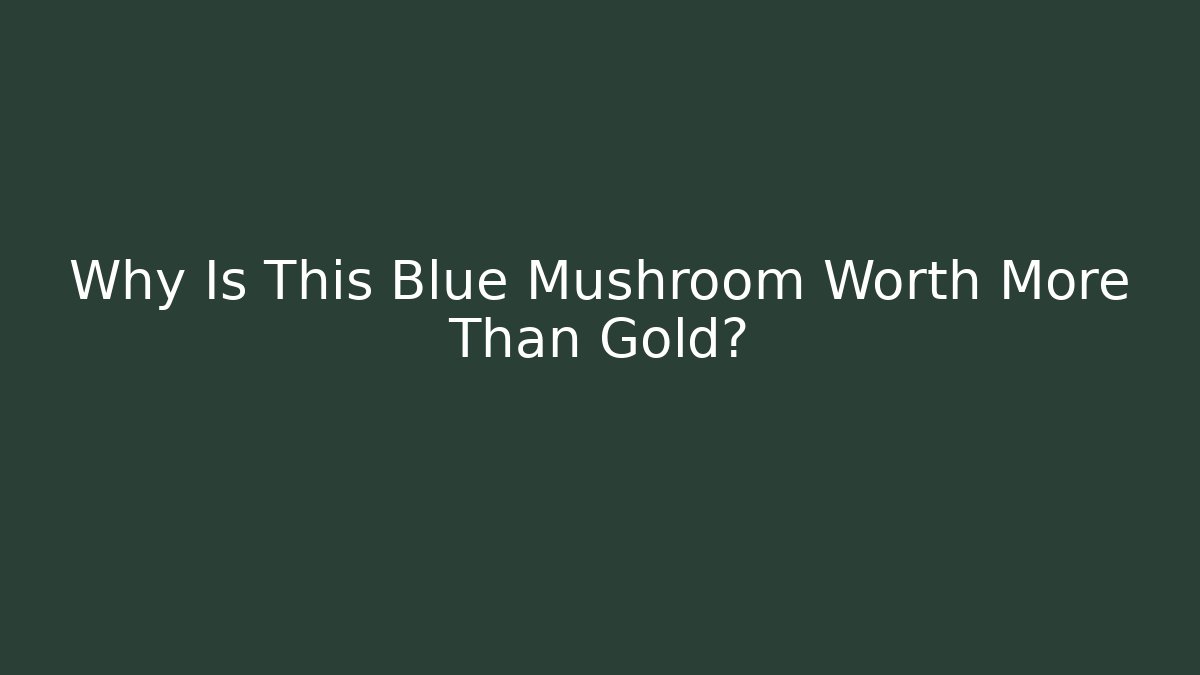 Why Is This Blue Mushroom Worth More Than Gold?