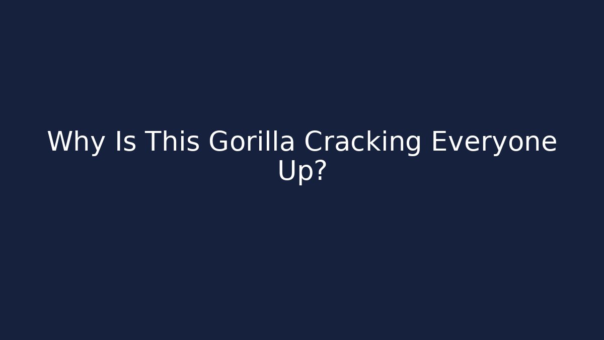 Why Is This Gorilla Cracking Everyone Up?