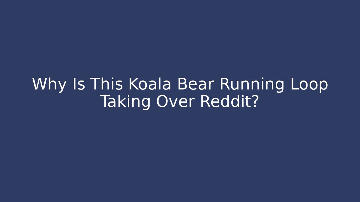 Why Is This Koala Bear Running Loop Taking Over Reddit?