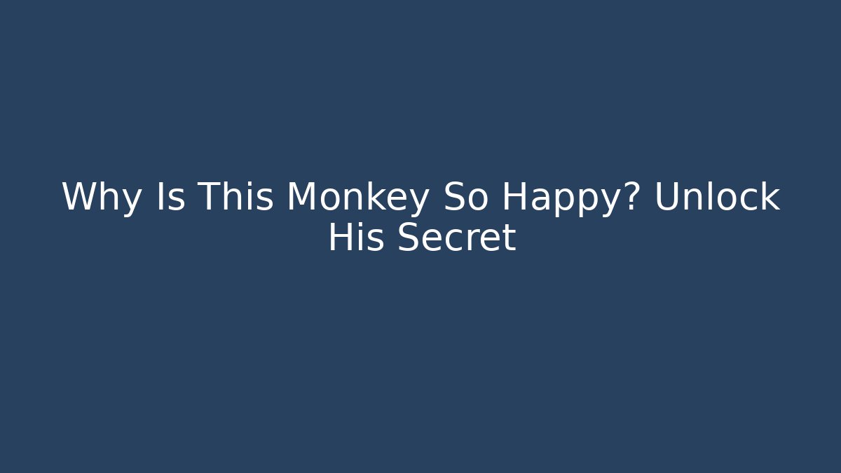 Why Is This Monkey So Happy? Unlock His Secret