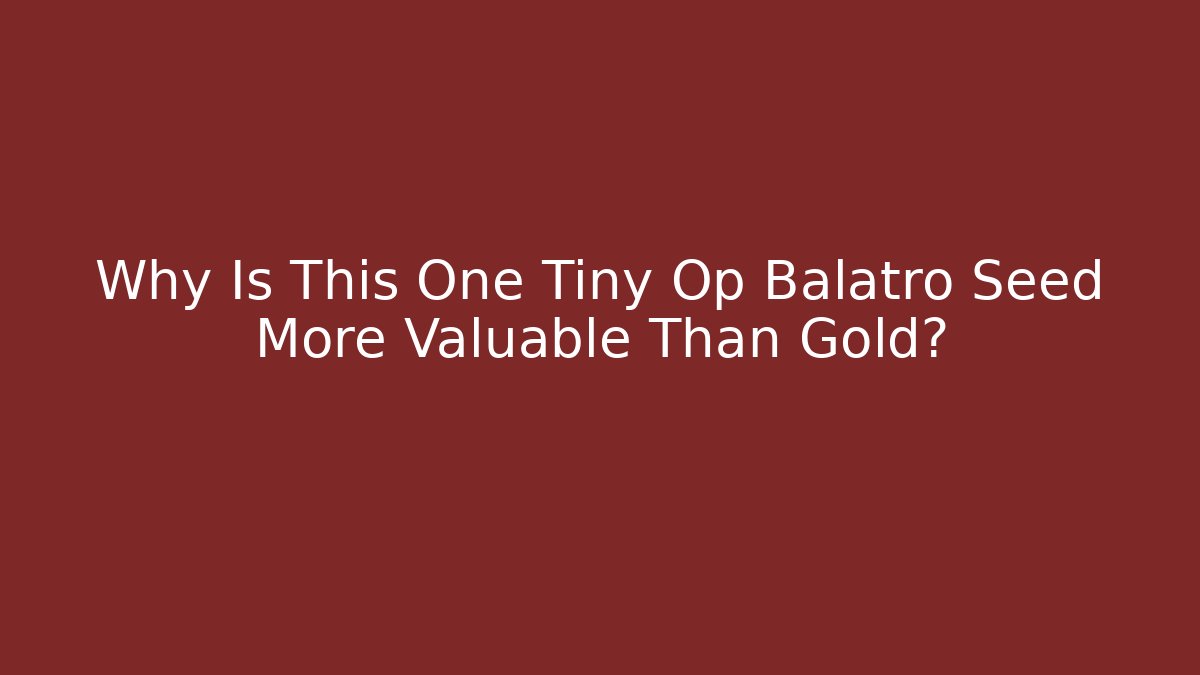 Why Is This One Tiny Op Balatro Seed More Valuable Than Gold?