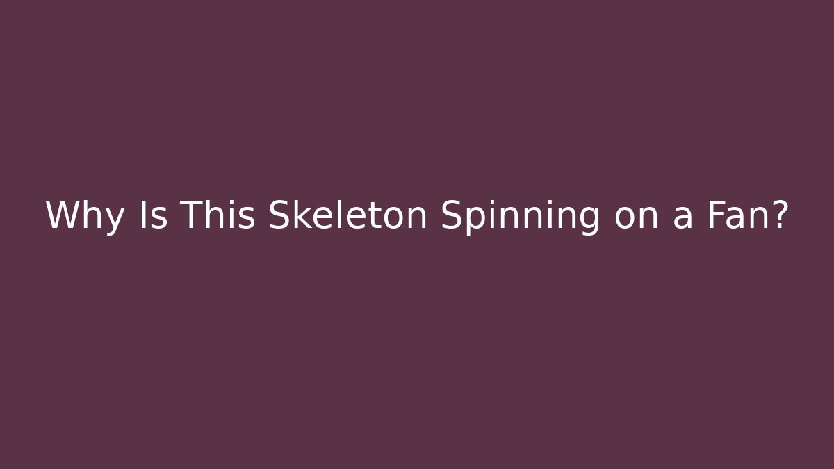 Why Is This Skeleton Spinning on a Fan?