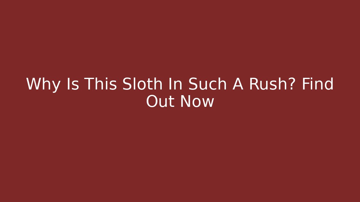 Why Is This Sloth In Such A Rush? Find Out Now - Vintage E-Juice