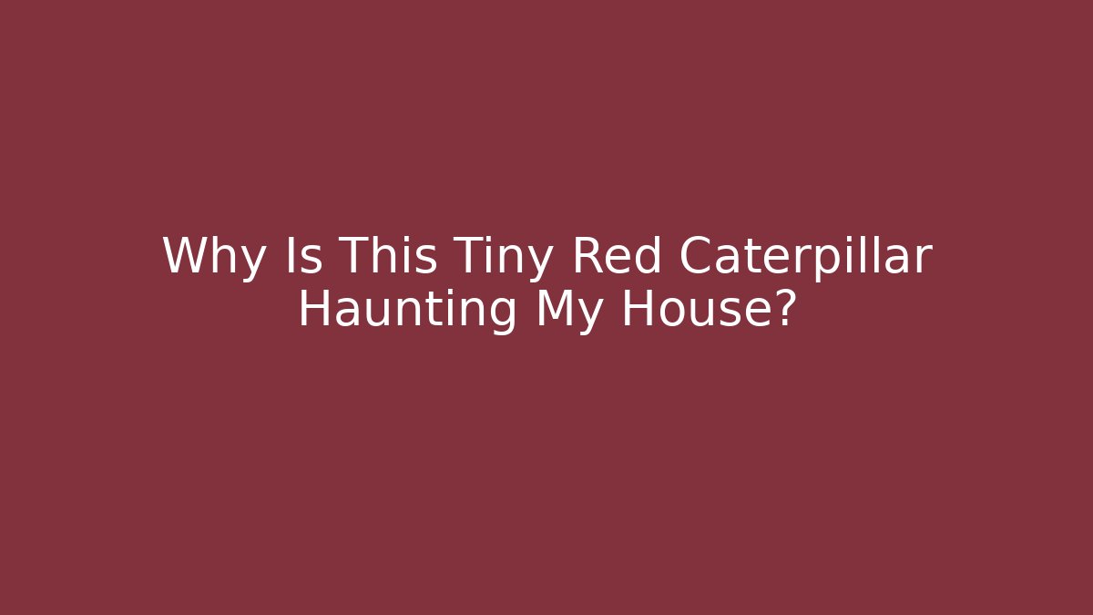 Why Is This Tiny Red Caterpillar Haunting My House?