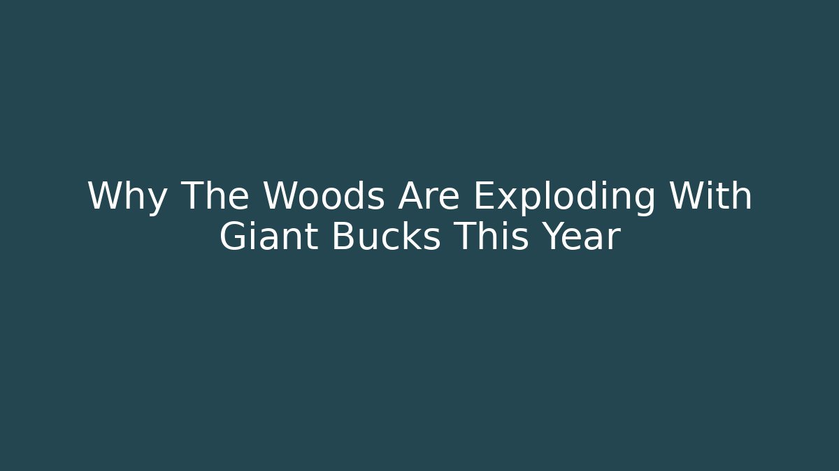 Why The Woods Are Exploding With Giant Bucks This Year