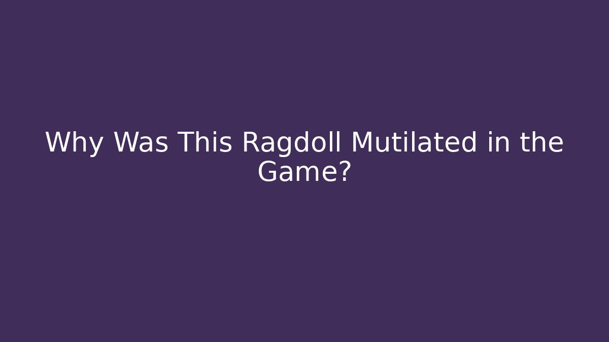 Why Was This Ragdoll Mutilated in the Game? - Vintage E-Juice