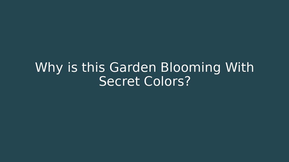 Why is this Garden Blooming With Secret Colors?