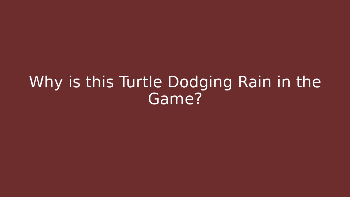 Why is this Turtle Dodging Rain in the Game?
