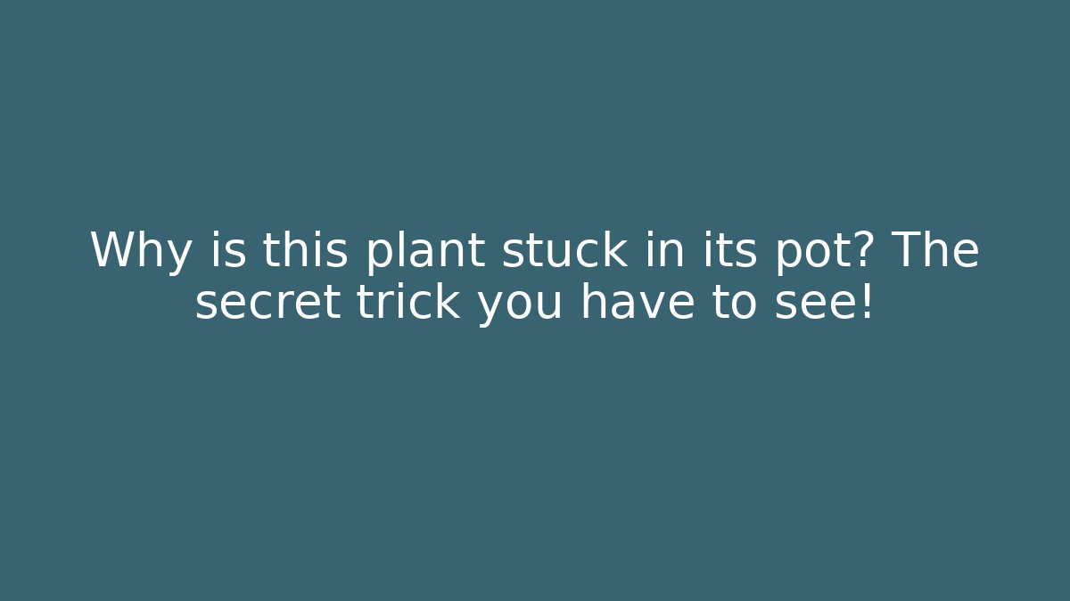 Why is this plant stuck in its pot? The secret trick you have to see!
