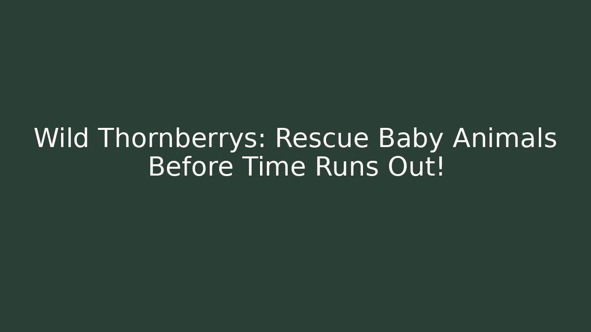 Wild Thornberrys: Rescue Baby Animals Before Time Runs Out!