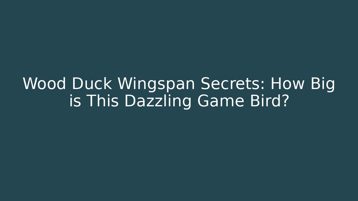 Wood Duck Wingspan Secrets: How Big is This Dazzling Game Bird?
