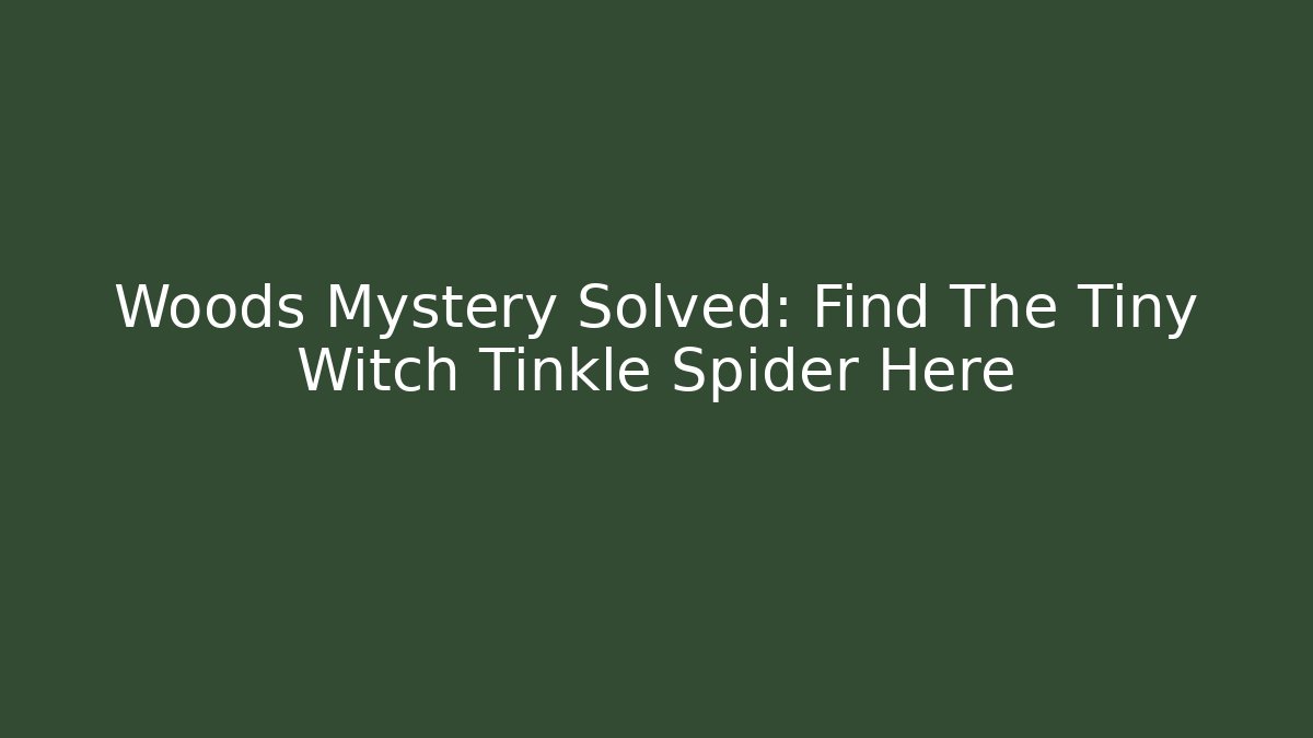 Woods Mystery Solved: Find The Tiny Witch Tinkle Spider Here