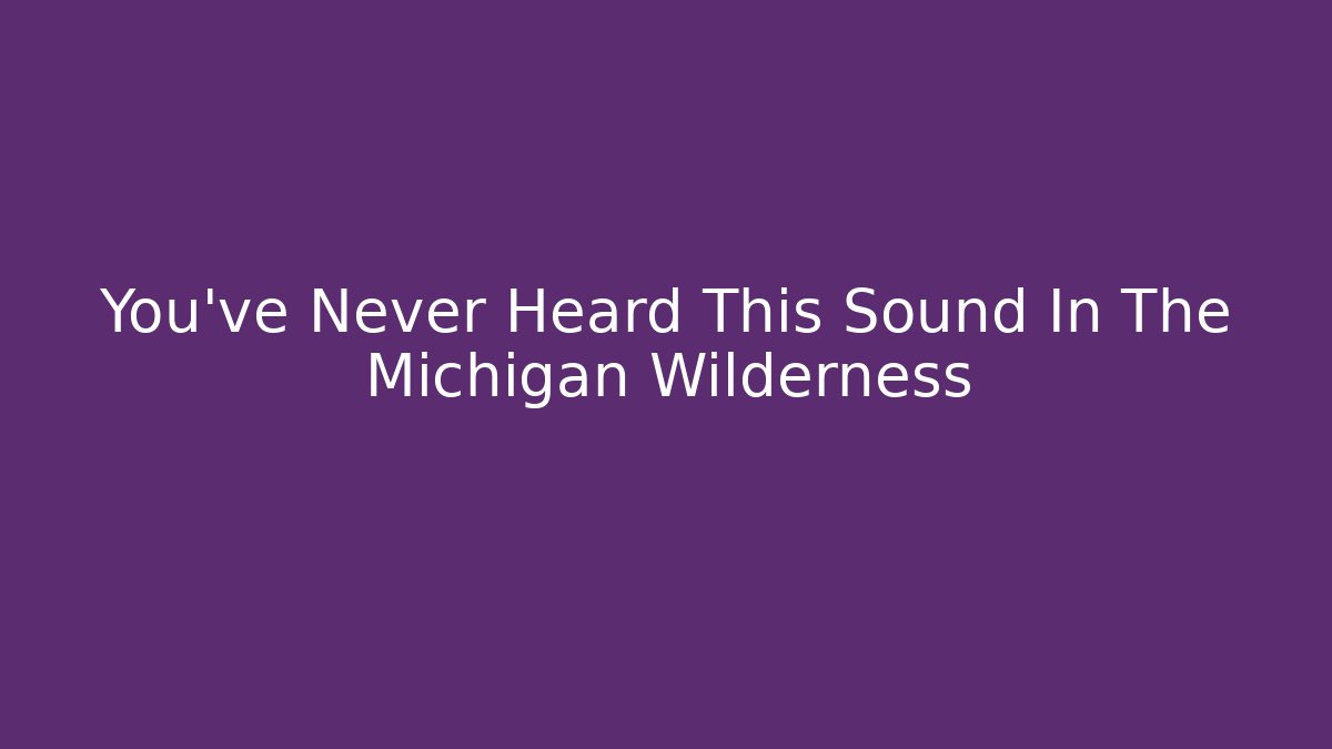 You've Never Heard This Sound In The Michigan Wilderness