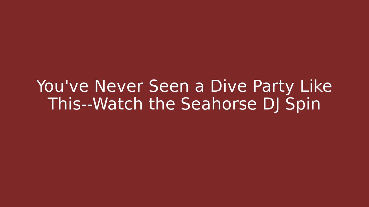 You’ve Never Seen a Dive Party Like This—Watch the Seahorse DJ Spin
