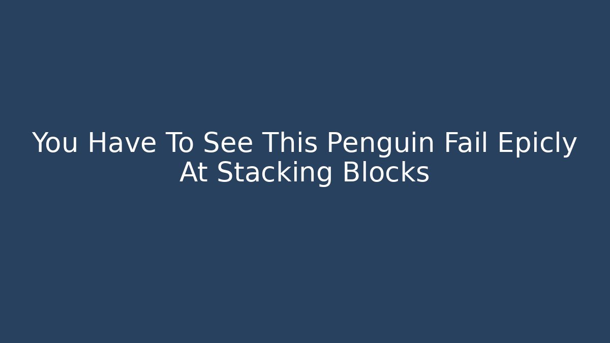 You Have To See This Penguin Fail Epicly At Stacking Blocks