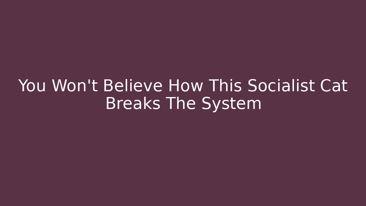 You Won’t Believe How This Socialist Cat Breaks The System